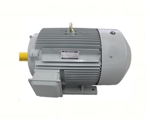 JY(ZC)系列艦用低噪三相異步電動(dòng)機(jī)